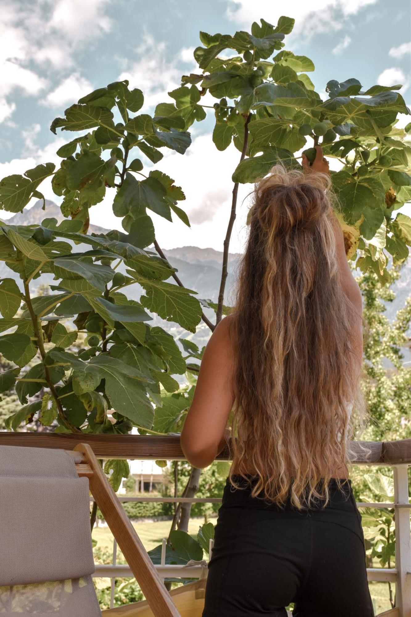 Alpimena Natur-Apartments Meran Eksteriør bilde